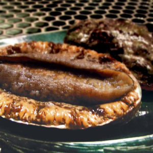 あわびとステーキのコース 蘭-らん-